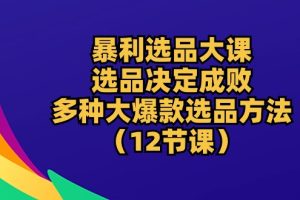 暴利 选品大课：选品决定成败，教你多种大爆款选品方法（12节课）