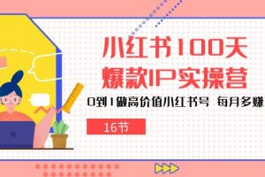 小红书100天-爆款IP实操营，0到1做高价值小红书号 每月多赚3000+（16节）