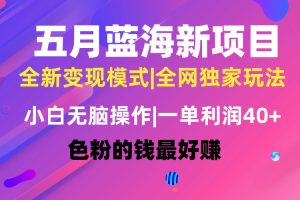 五月蓝海项目全新玩法，小白无脑操作，一天几分钟，矩阵操作，月入4万+