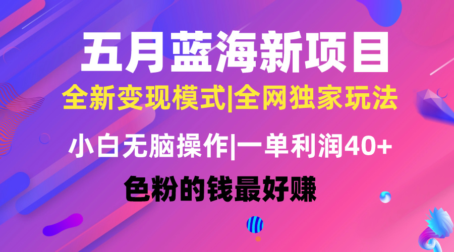 五月蓝海项目全新玩法，小白无脑操作，一天几分钟，矩阵操作，月入4万+插图