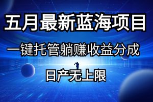 五月刚出最新蓝海项目一键托管 躺赚收益分成 日产无上限