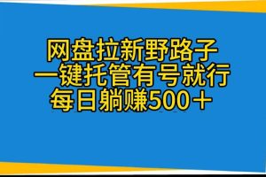 网盘拉新野路子，一键托管有号就行，全自动代发视频，每日躺赚500＋