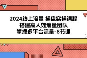 2024线上流量 操盘实操课程，搭建高人效流量团队，掌握多平台流量-8节课