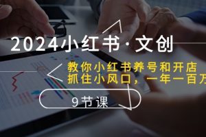 2024小红书·文创：教你小红书养号和开店、抓住小风口 一年一百万 (9节课)