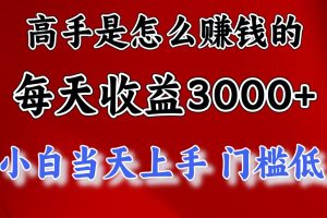 高手是怎么赚钱的，一天收益3000+ 这是穷人逆风翻盘的一个项目，非常稳…