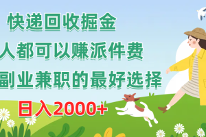 快递回收掘金，人人都可以赚派件费，新人副业兼职的最好选择，日入2000+