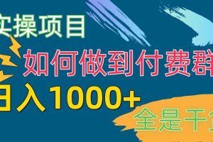 [实操项目]付费群赛道，日入1000+