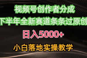 视频号创作者分成最新玩法，日入5000+  下半年全新赛道条条过原创，小…