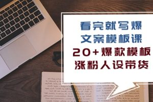 看完 就写爆的文案模板课，20+爆款模板  涨粉人设带货（11节课）