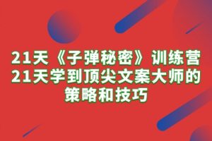 21天《子弹秘密》训练营，21天学到顶尖文案大师的策略和技巧