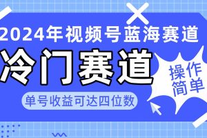 2024视频号冷门蓝海赛道，操作简单 单号收益可达四位数（教程+素材+工具）