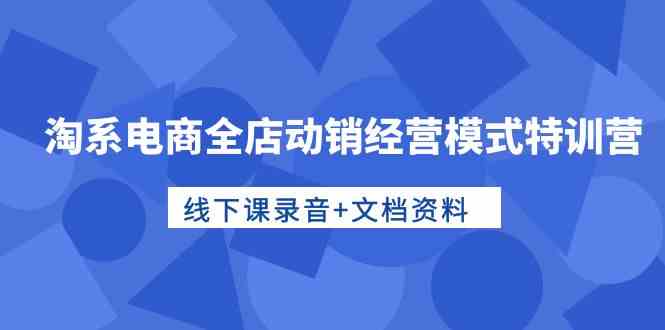 淘系电商全店动销经营模式特训营，线下课录音+文档资料插图