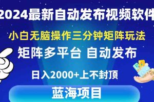 2024最新视频矩阵玩法，小白无脑操作，轻松操作，3分钟一个视频，日入2k+