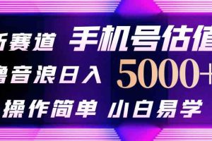 抖音不出境直播【手机号估值】最新撸音浪，日入5000+，简单易学，适合…