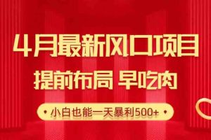 28.4月最新风口项目，提前布局早吃肉，小白也能一天暴利500+