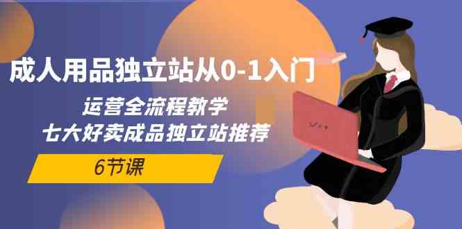 成人用品独立站从0-1入门，运营全流程教学，七大好卖成品独立站推荐-6节课插图