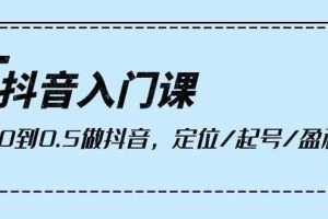 抖音入门课，从0到0.5做抖音，定位/起号/盈利（9节课）