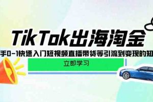 TikTok-出海淘金，新手0-1快速入门短视频直播带货等引流到变现的知识