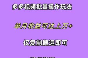 拼多多视频带货快速过爆款选品教程 每天轻轻松松赚取三位数佣金 小白必…