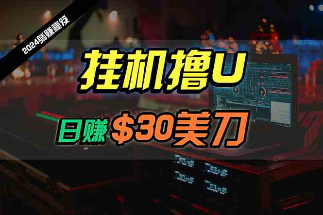 日赚30美刀，2024最新海外挂机撸U内部项目，全程无人值守，可批量放大插图