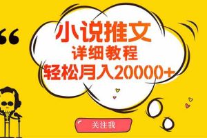 简单操作，月入20000+，详细教程！小说推文项目赚钱秘籍！