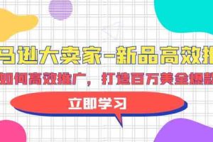 亚马逊 大卖家-新品高效推广，分享如何高效推广，打造百万美金爆款单品