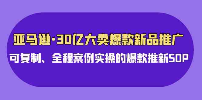 亚马逊30亿·大卖爆款新品推广，可复制、全程案例实操的爆款推新SOP插图