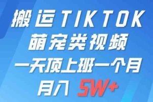 一键搬运TIKTOK萌宠类视频 一部手机即可操作 所有平台均可发布 轻松月入5W+