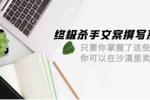 终极 杀手文案-撰写系统 只要你掌握了这些秘诀 你可以在沙漠里卖沙子-42节