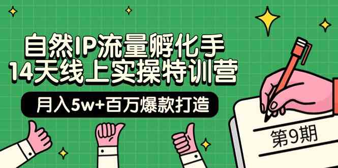 自然IP流量孵化手 14天线上实操特训营【第9期】月入5w+百万爆款打造 (74节)插图