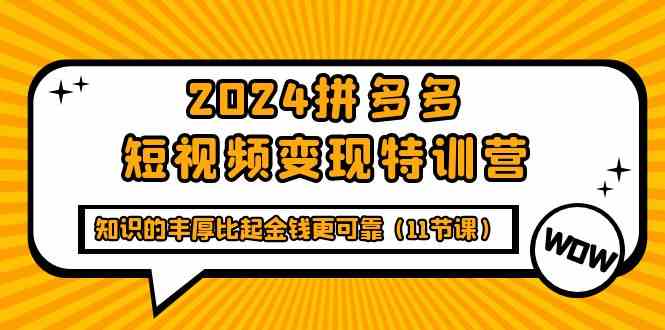 2024拼多多短视频变现特训营，知识的丰厚比起金钱更可靠（11节课）插图