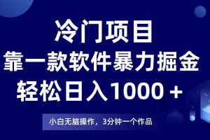 冷门项目，靠一款软件暴力掘金日入1000＋，小白轻松上手第二天见收益