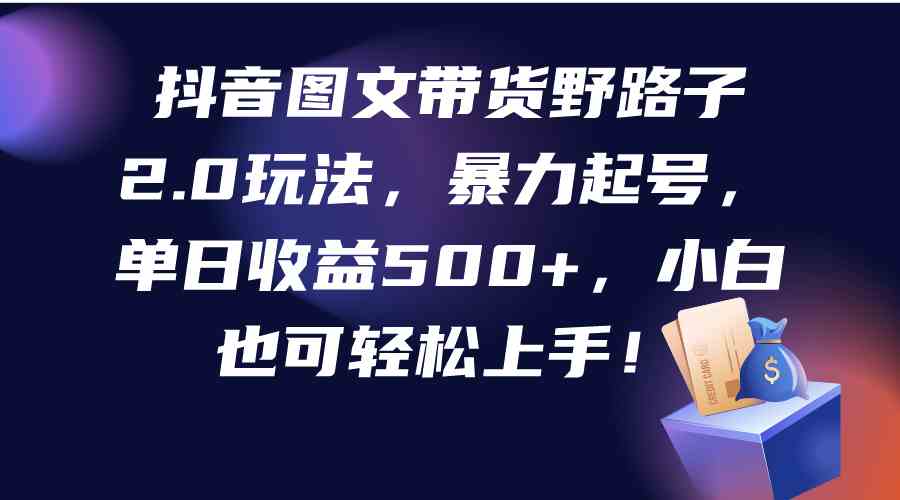 抖音图文带货野路子2.0玩法，暴力起号，单日收益500+，小白也可轻松上手！插图