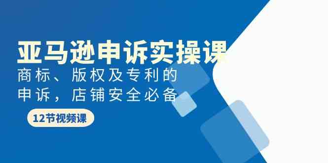 亚马逊-申诉实战课，​商标、版权及专利的申诉，店铺安全必备插图