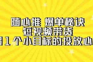 随心推 爆单秘诀，短视频带货-超1个小目标的投放心得（7节视频课）