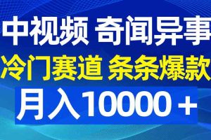 中视频奇闻异事，冷门赛道条条爆款，月入10000＋