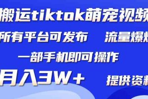 搬运Tiktok萌宠类视频，一部手机即可。所有短视频平台均可操作，月入3W+