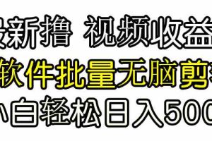 发视频撸收益，软件无脑批量剪辑，第一天发第二天就有钱