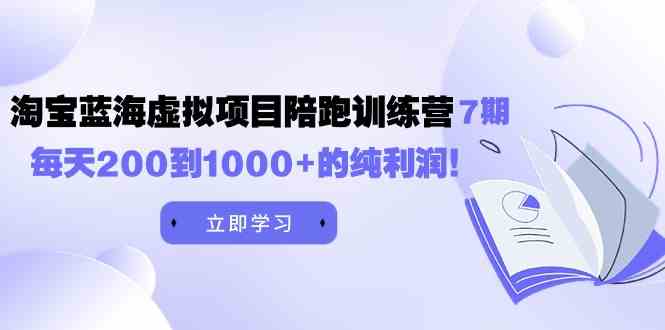 黄岛主《淘宝蓝海虚拟项目陪跑训练营7期》每天200到1000+的纯利润插图