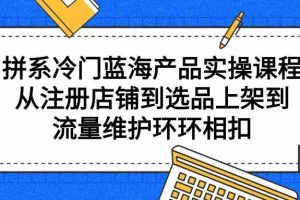 拼系冷门蓝海产品实操课程，从注册店铺到选品上架到流量维护环环相扣