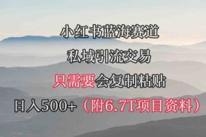 小红书短剧赛道，私域引流交易，会复制粘贴，日入500+（附6.7T短剧资源）