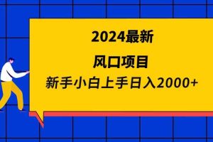 2024最新风口项目 新手小白日入2000+