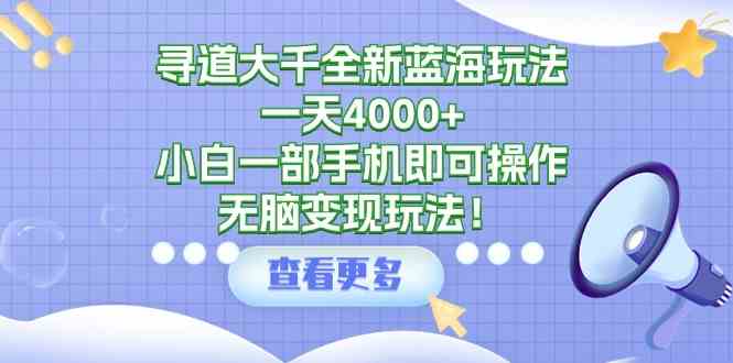 寻道大千全新蓝海玩法，一天4000+，小白一部手机即可操作，无脑变现玩法！插图