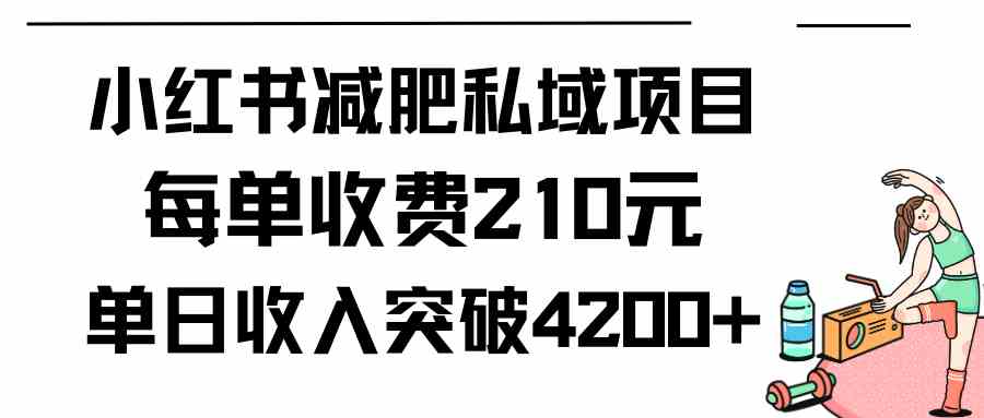 小红书减肥私域项目每单收费210元单日成交20单，最高日入4200+插图