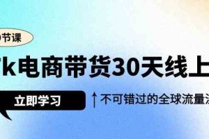 Tk电商带货30天线上课，不可错过的全球流量洼地（29节课）