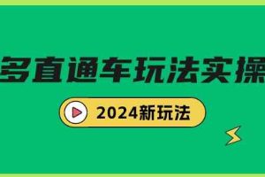 多多直通车玩法实战课，2024新玩法（7节课）