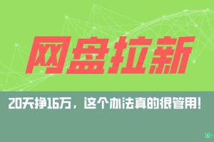 网盘拉新+私域全自动玩法，0粉起号，小白可做，当天见收益，已测单日破5000