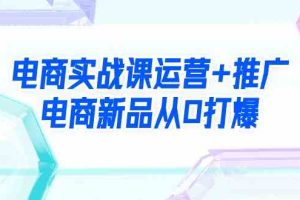 电商实战课运营+推广，电商新品从0打爆（99节视频课）