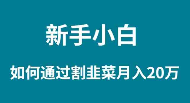 新手小白如何通过割韭菜月入 20W插图