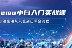 Temu小白入门实战课：跨境拼多多电商培训 快速跑通从入驻到出单全流程-12节